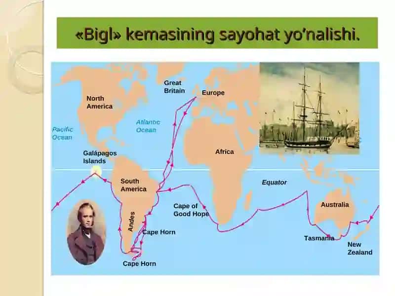 ORGANIK OLAM EVOLYUTSIYASI HAQIDA CHARLZ DARVIN TA’LIMOTI 3