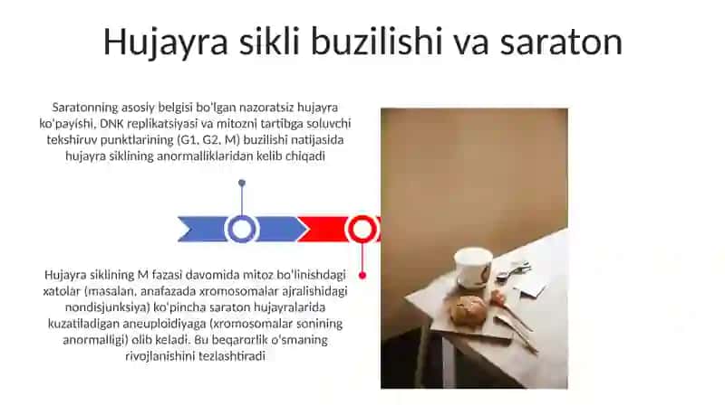 Hujayraning mitotik va hayotiy sirli 3