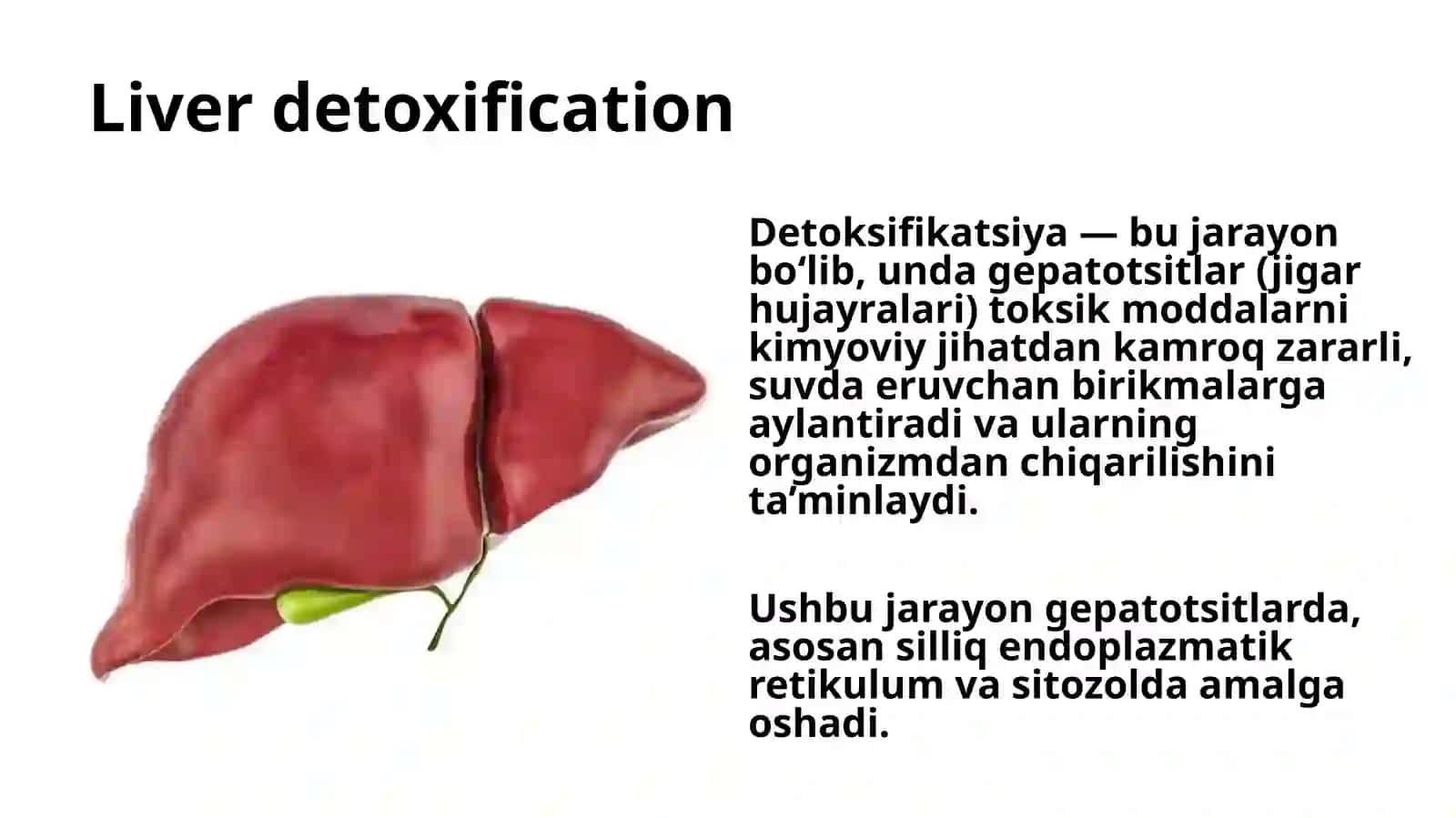 Jigar Biokimyosi 3