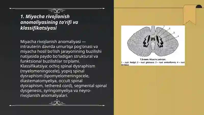 Miyacha rivojlanish anomaliyasi 3