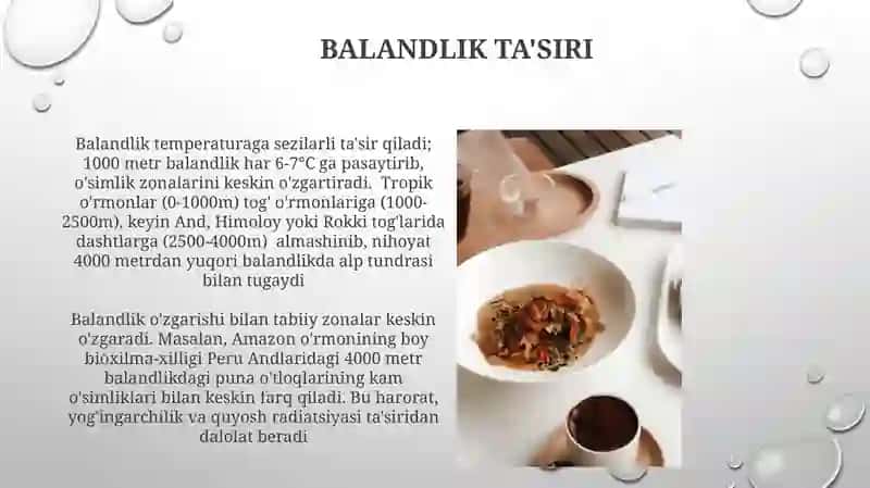 Materiklar tabiat zonalarining bir biridan farqi 3