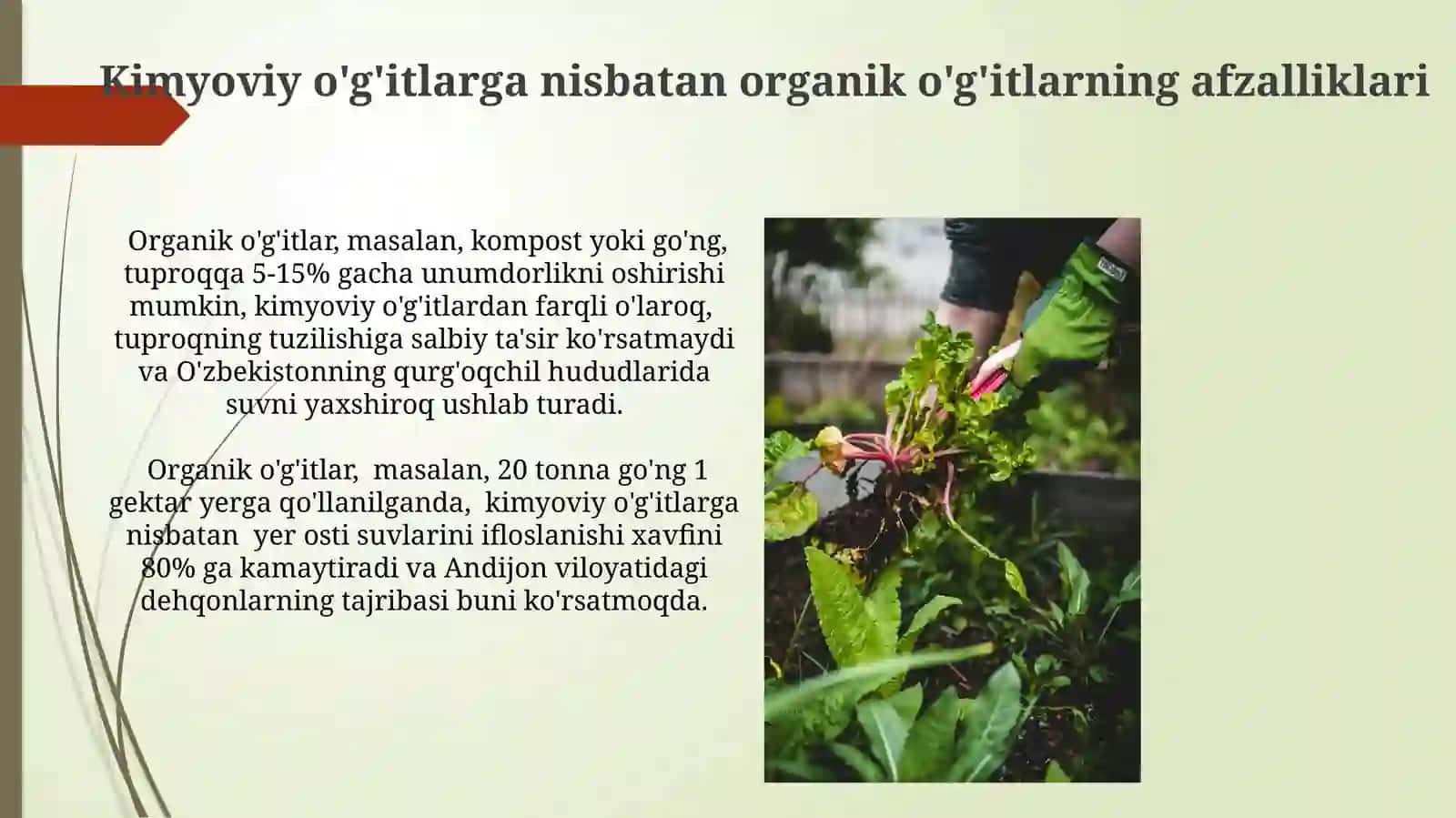 Organik o'g'itlarning tuproq unumdorliginioshirishdagiahamiyati 3