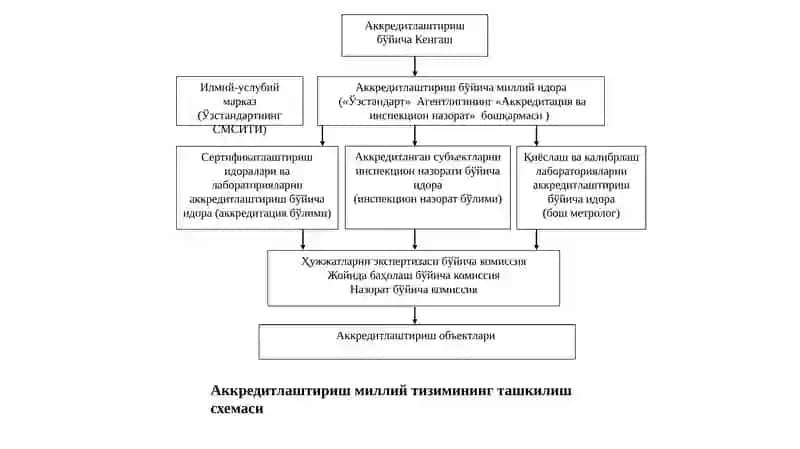 Аккредитация ва инспекция назорати 3