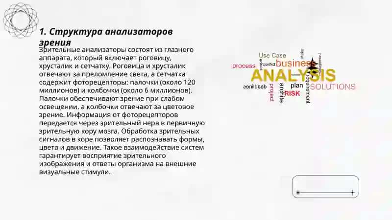 Анализатори.Зрение 3