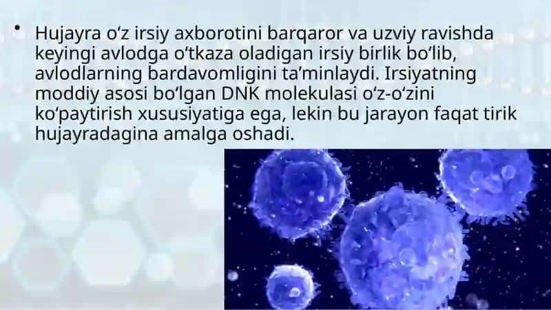 Hujayra tiriklikning irsiy birligi 3
