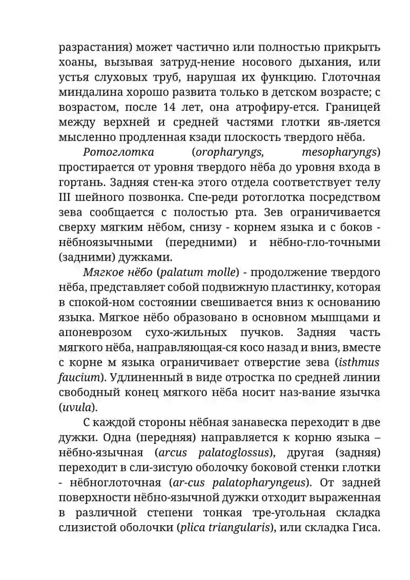Клиническая анатомия глотки 3