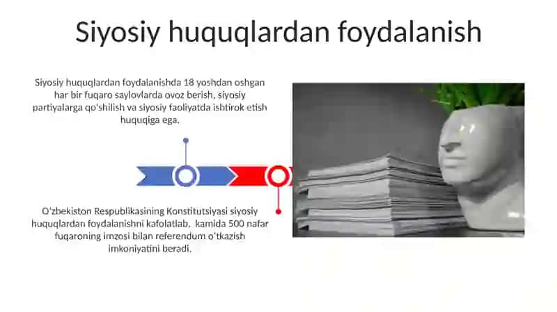 Siyosiy huquqlar 3