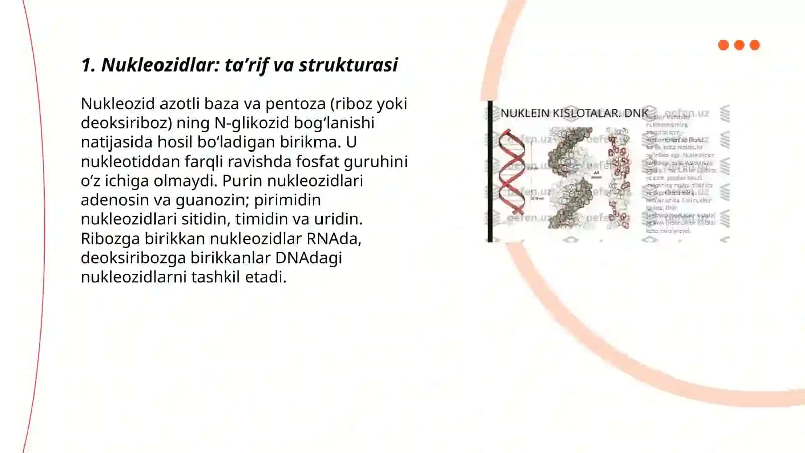 Nukleozidlar.Nukleotidlar 3