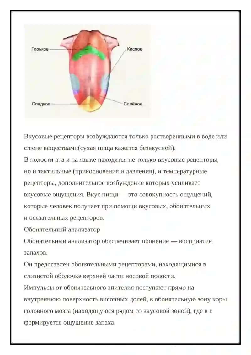 Вкусовой анализатор 3