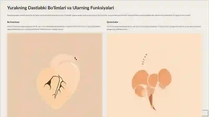 Embrional Qon Aylanishi va Yurak Rivojlanishi: Kirish 3