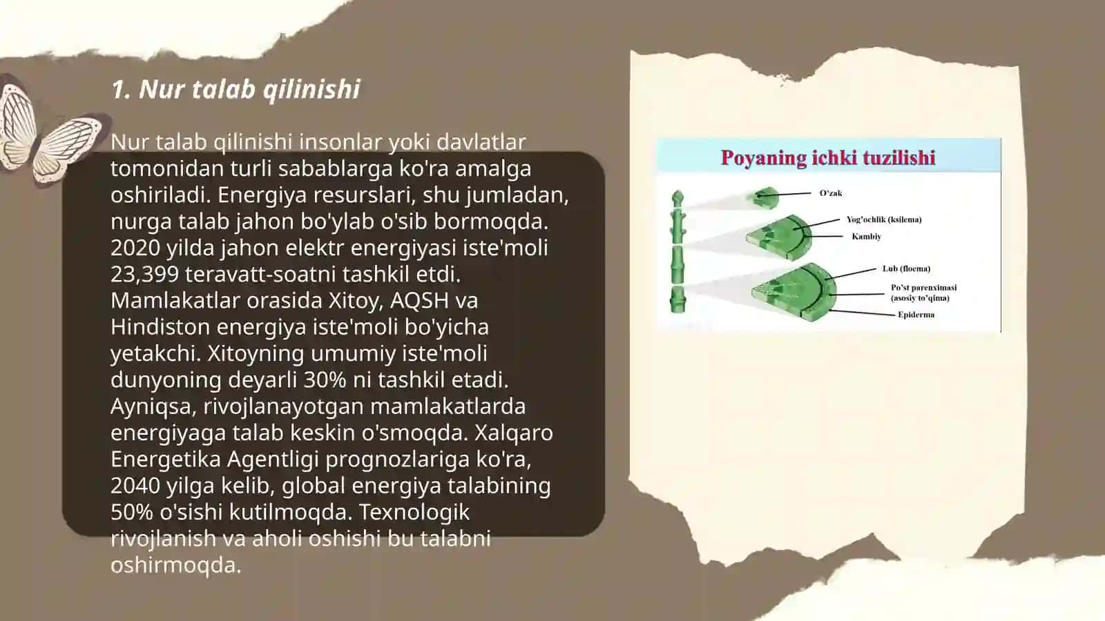 O'simliklar o'sishi uchun nimalar zarur 3