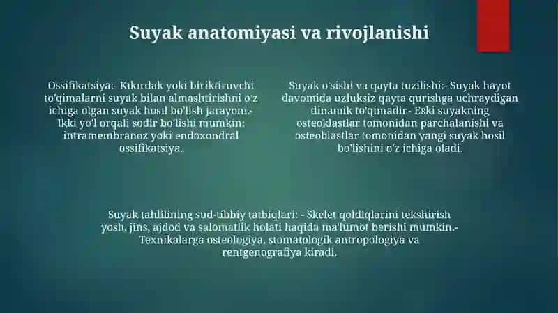 Suyaklarga Qarab Yoshni Baholash Usuli 3