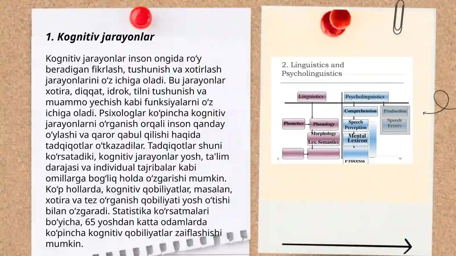 Kognitiv tilshunoslik 3