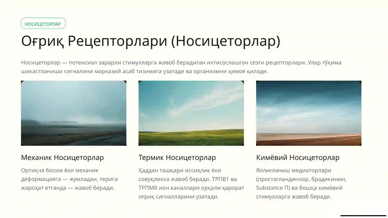 Рецепторлароғриқ, Баро - ва Ҳеморесепторлар 3