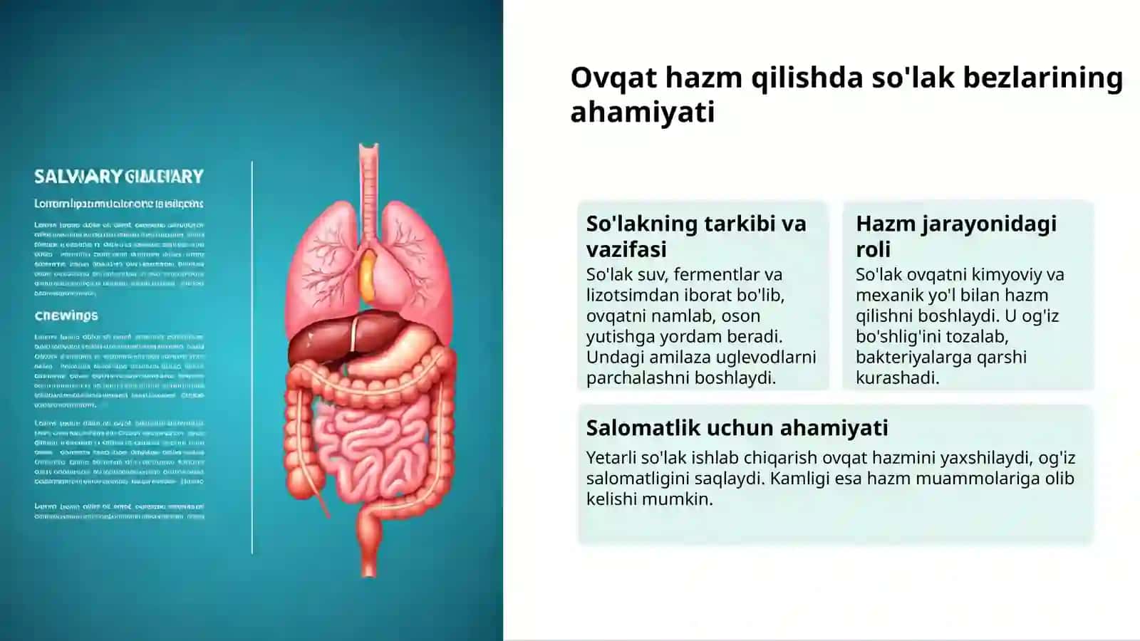 Ovqat hazm qilish: sog'lom hayot kaliti 3