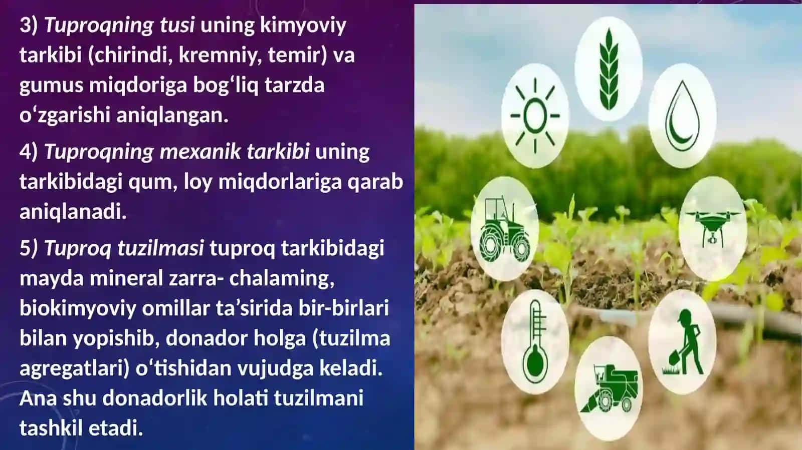 TUPROQ MORFOLOGIK BELGILARNING AGRONOMIK XUSUSIYATLARI. 3