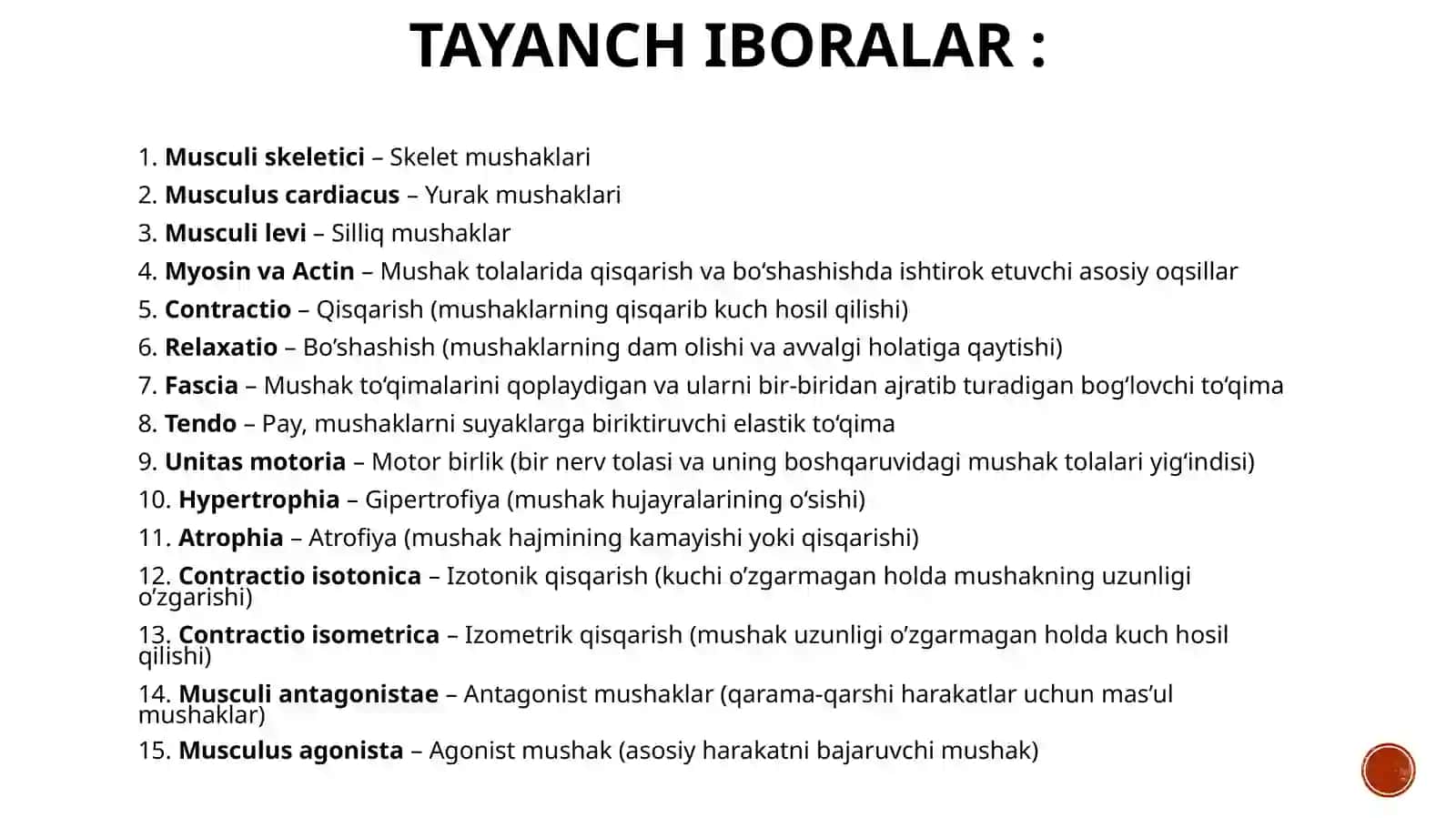 Muskullar haqidagi ma'lumotlar 3