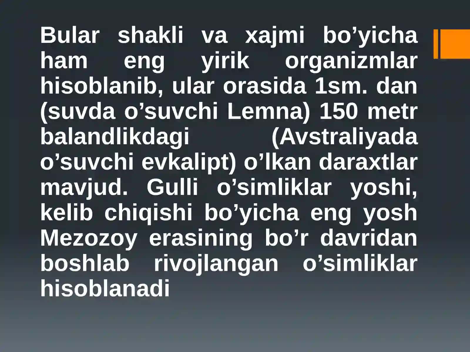 Magnoliyadoshlaroilasi 3