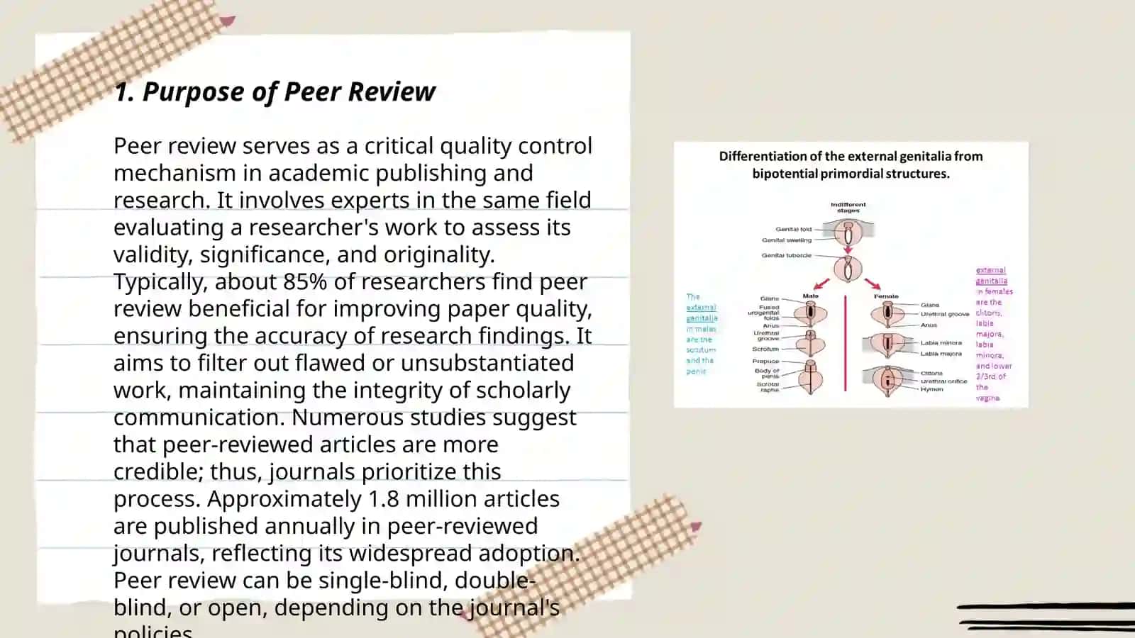 Peer Review and Revision 3