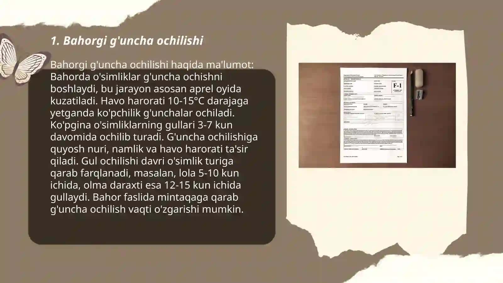 Bahorgi g'uncha ochilishi 3