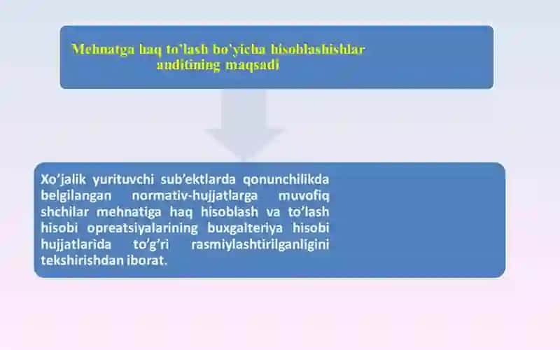 Mehnat haqi hisobi va to'lash jarayoni audit 3