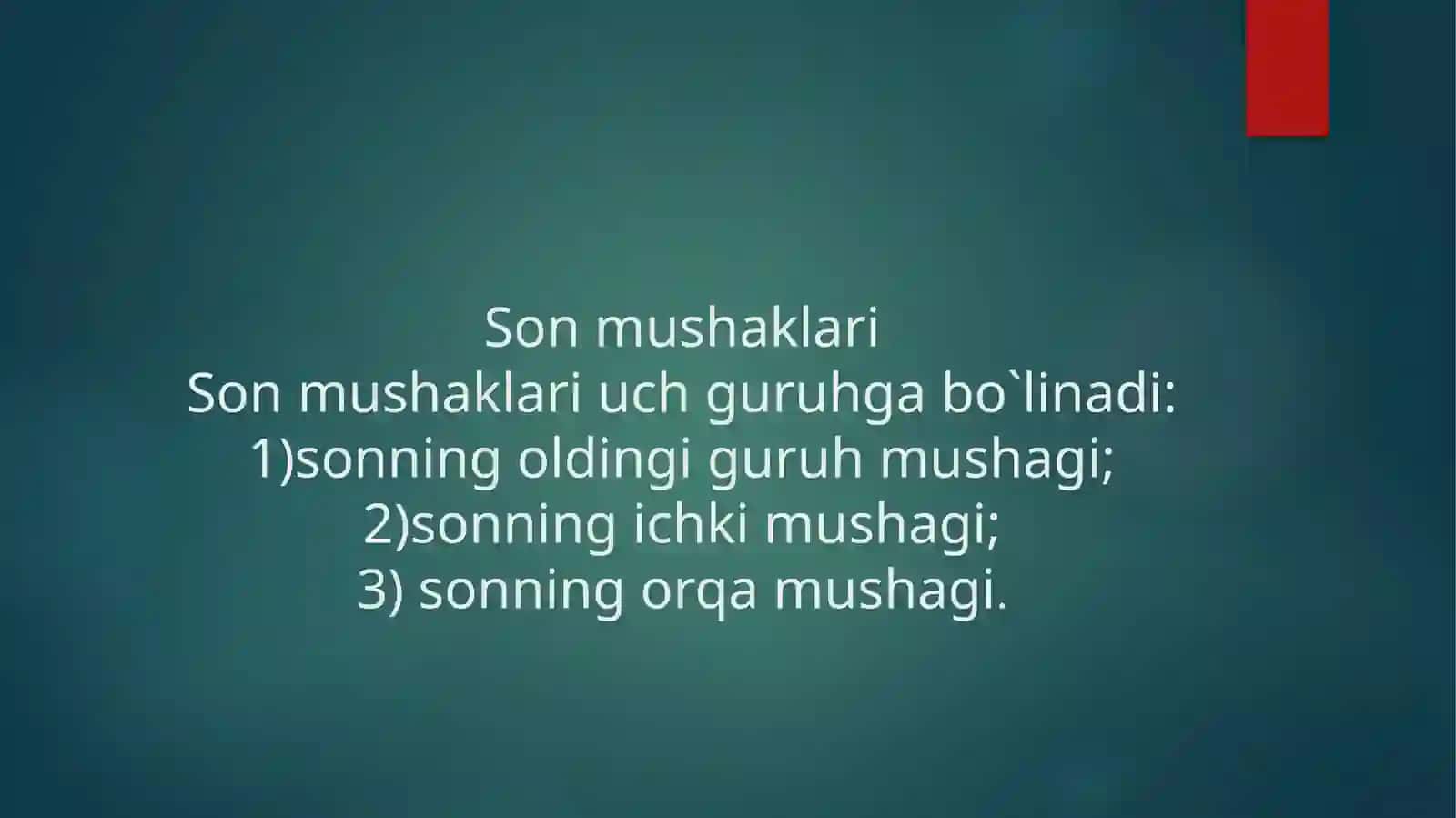 OYOQ MUSKULLARI 3