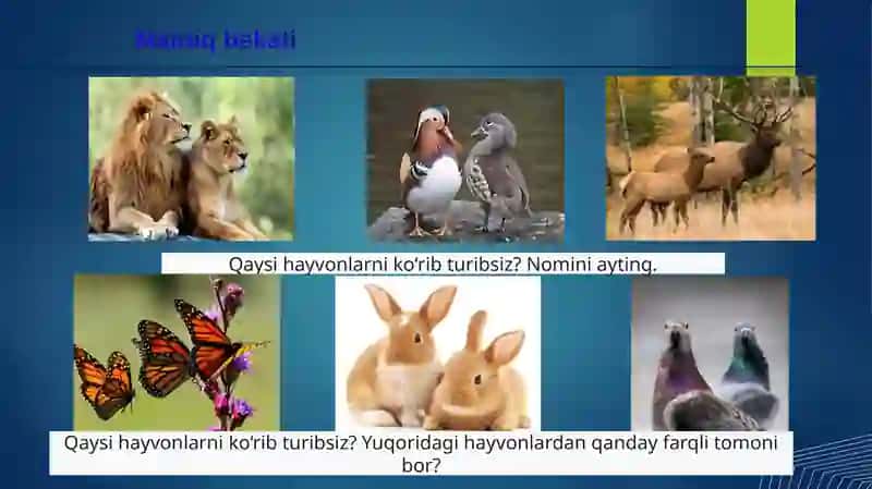 Jinsgenetikasi 3