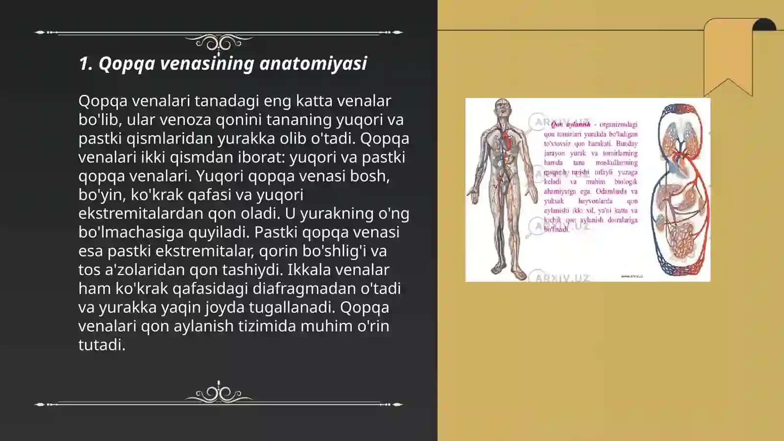 Qopqa venasi,uning hosil bõlishi 3