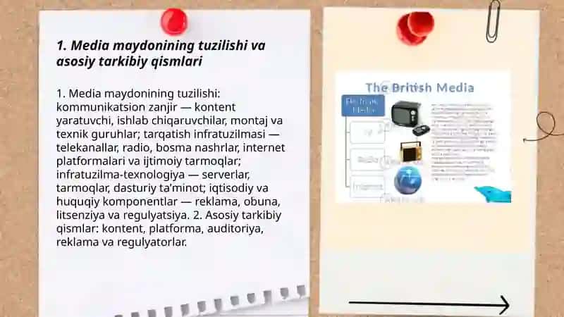 Media maydon tuzilishi va ta'siri 3
