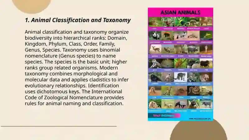 Animal Classification and Taxonomy 3