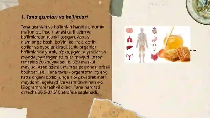 Anatomiya usullari. Tana o'qi va satxlari 3
