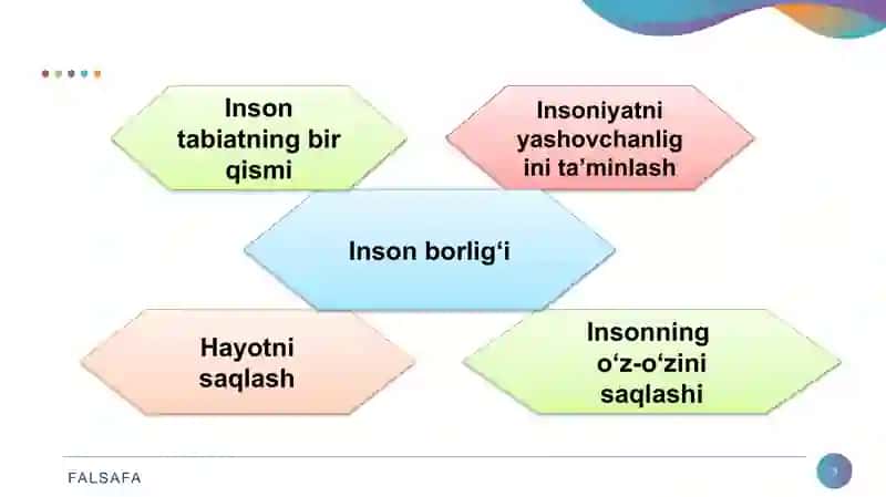 Inson borlig‘ining o‘ziga 3