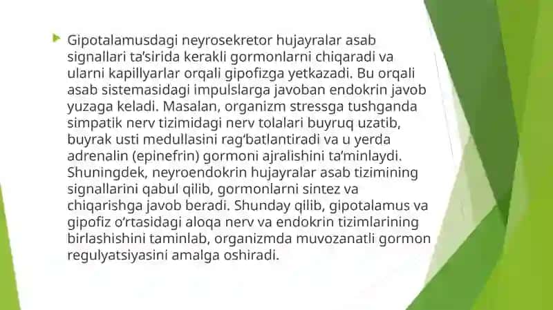 Nerv va endokrin tizim 3