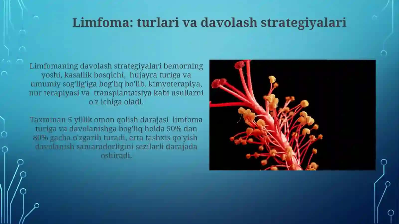 Limfoma: turlari va davolash strategiyalari 3