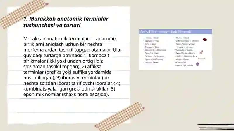 Murakkab anatomik terminlar tuzilishi 3