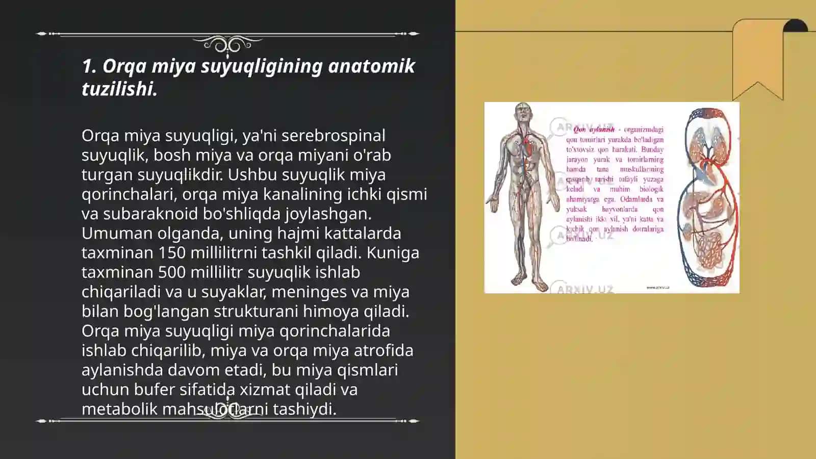 Orqa miya suyuqligi 3