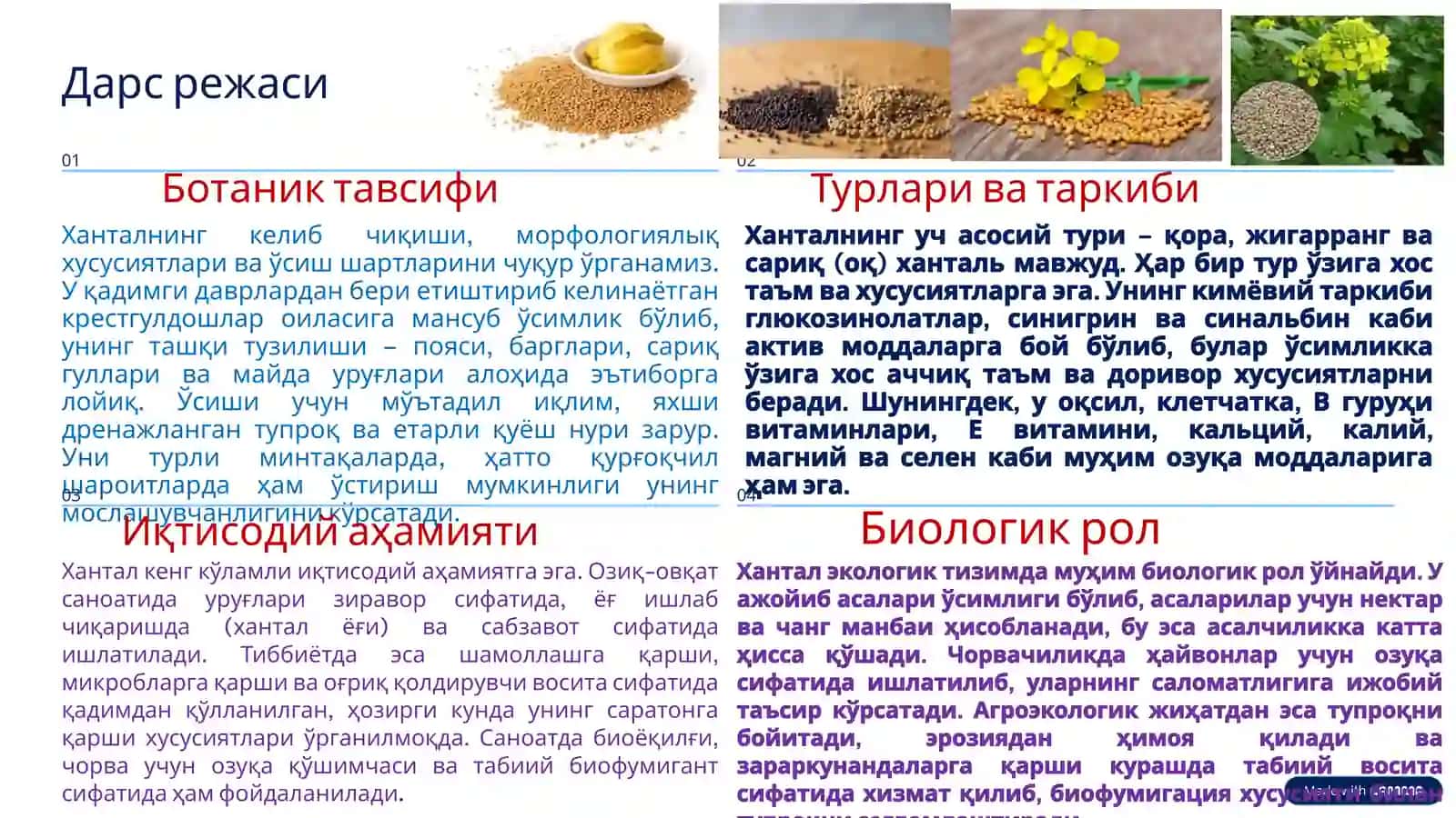 Хантал: мойли ва шифобахш ўсимлик 3