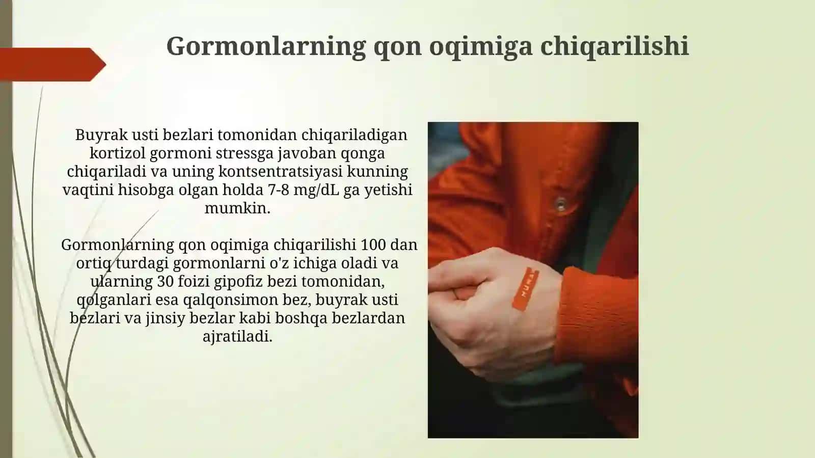 Inson organizmidagi garmonlar 3
