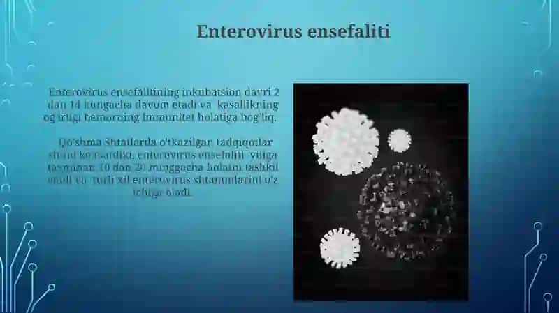 Enteroviruslar Patogenezi 3