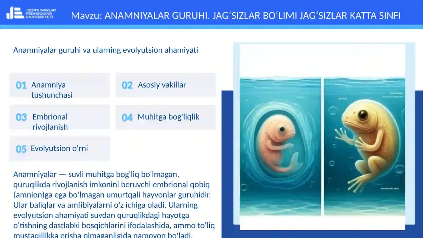 ANAMNIYALAR GURUHI VA ULARNING EVOLYUTSION AHAMIYATI 3