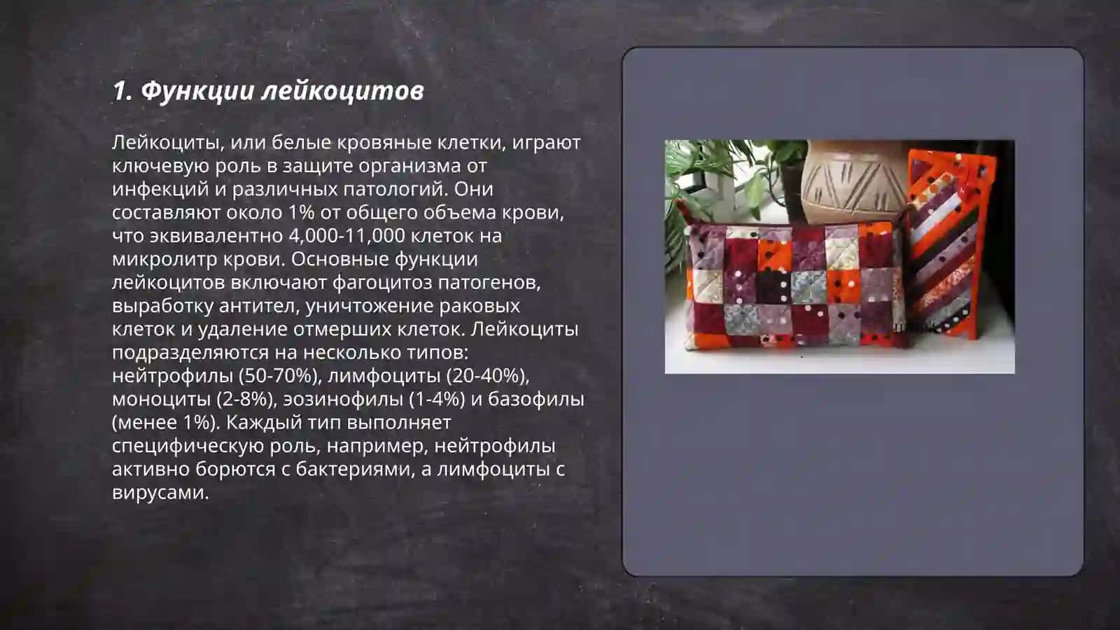 Образование лейкоцитов 3
