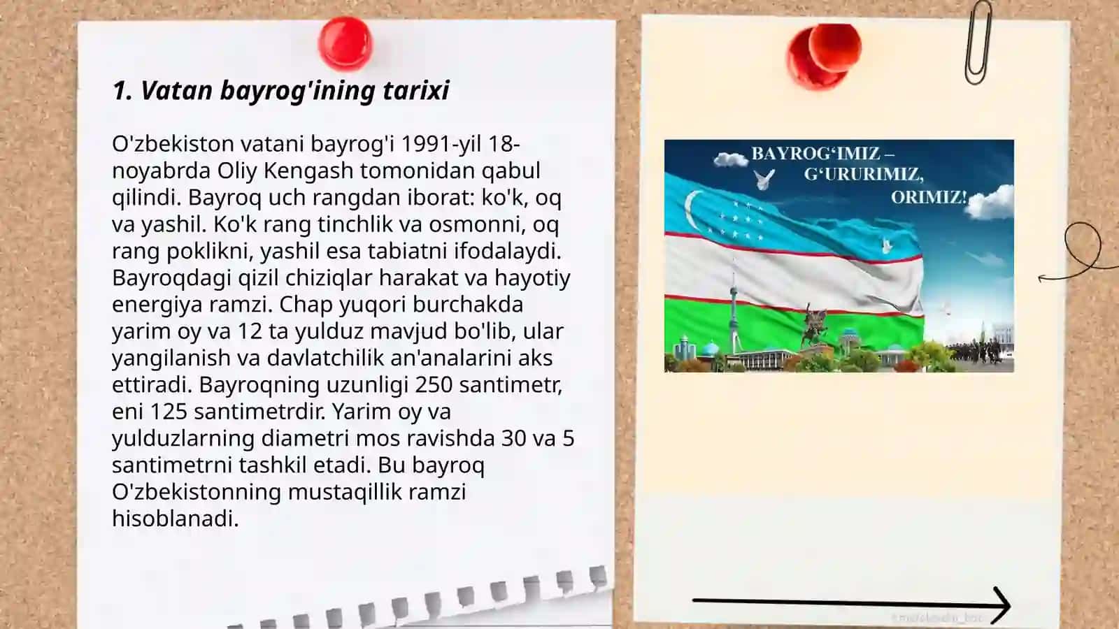 Magʻrur hilpirayver. Vatan bayrogʻi 3