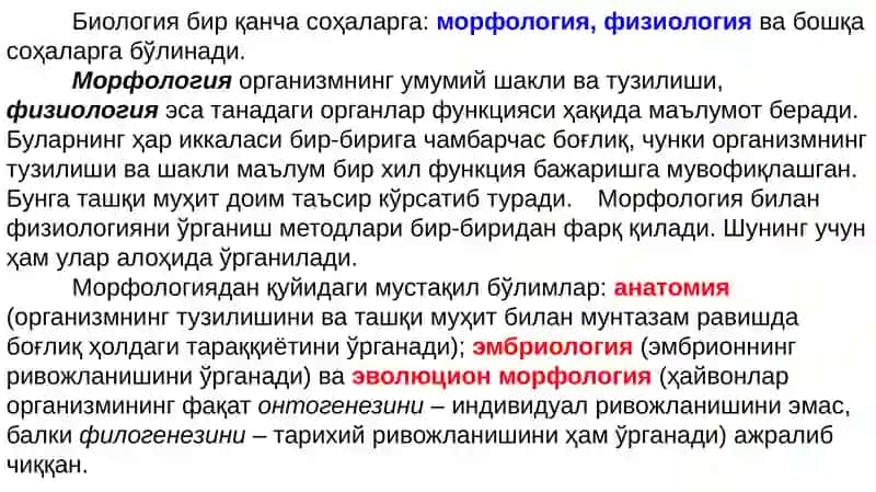 Ҳайвонлар анатомияси 3