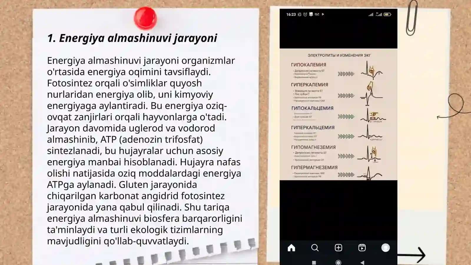Energiya almashinuvi 3