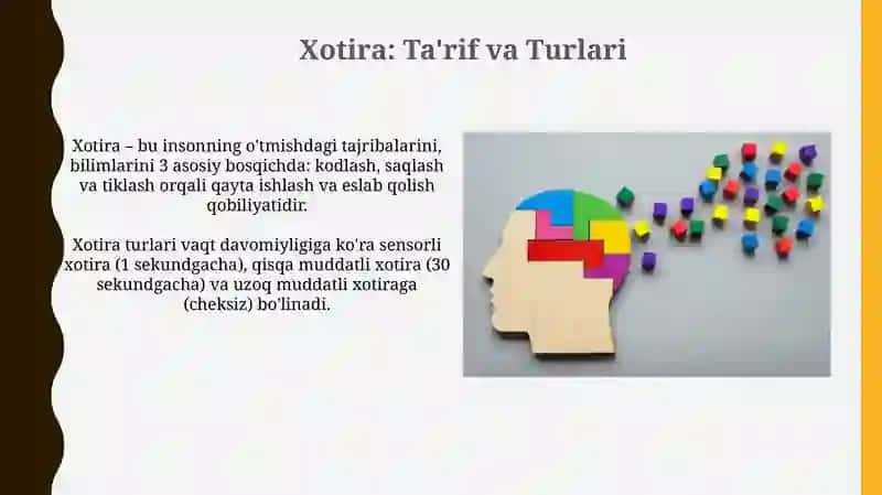 Xotira 3
