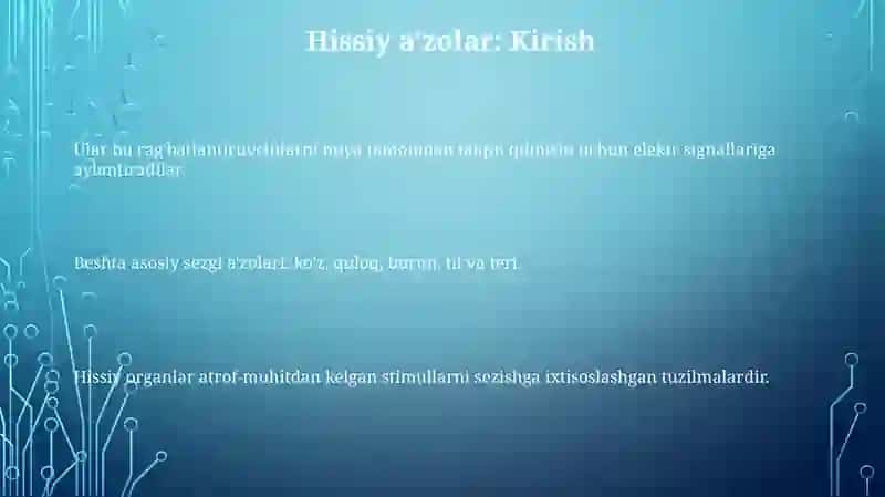 Sezgi organlari 3