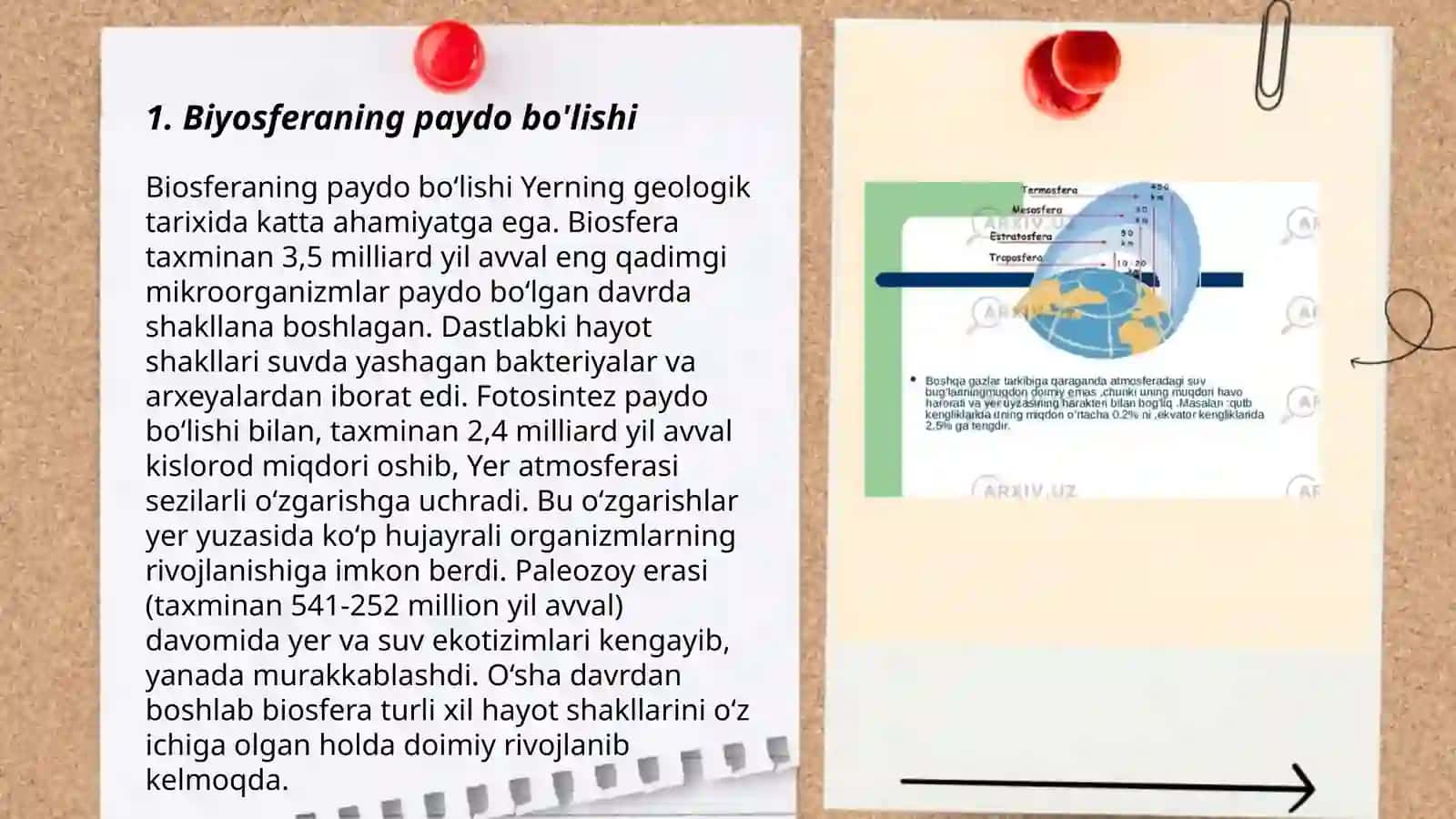 Biyosfera evolyusiyasi qatlamlari 3