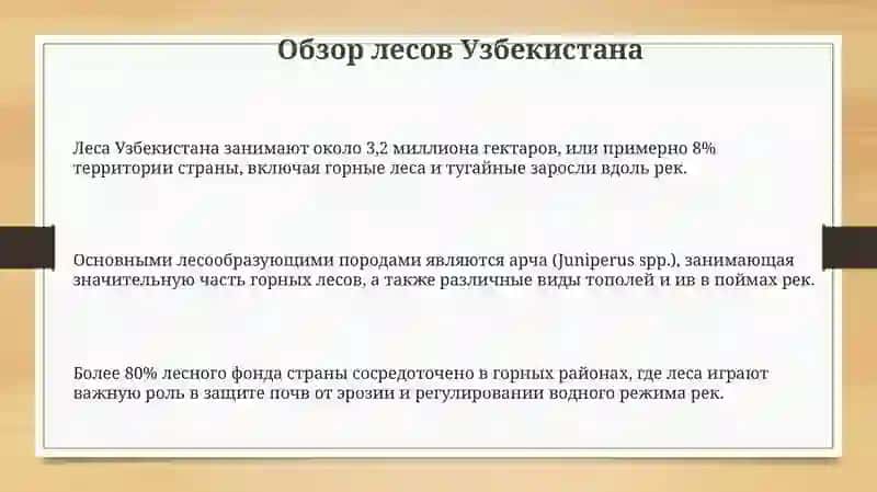 Обзор лесов Узбекистана 3