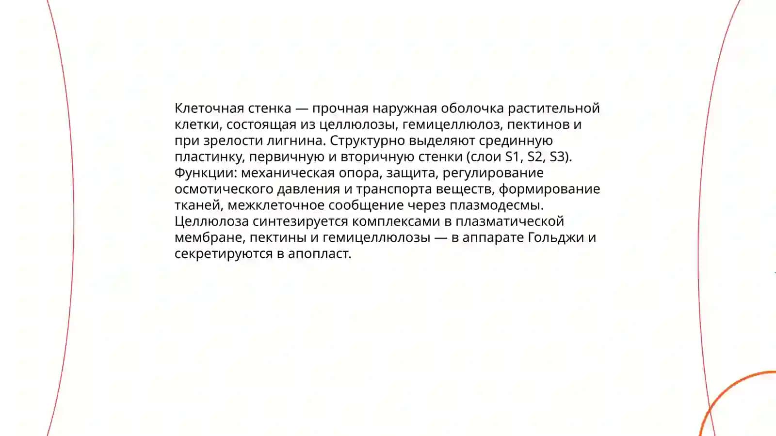 Строение растительной клетки 3