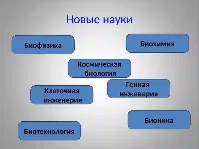 Биология 3